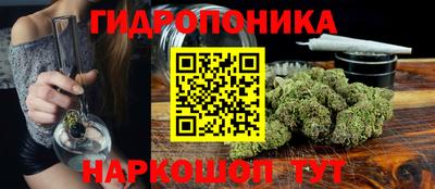 ГАЛЛЮЦИНОГЕННЫЕ ГРИБЫ Кинель