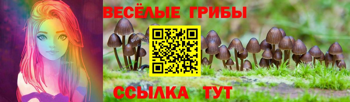 Галлюциногенные грибы Cubensis Луховицы